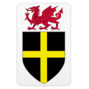Search for dragon rectangular magnets Flag