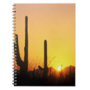 Search for environment notebooks Arid