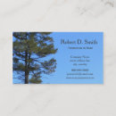 Search for pine tree business cards Evergreen