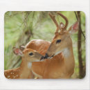 Search for bonding mouse mats Friendship
