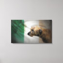 Search for wolfhound art Canine