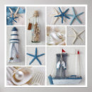 Search for mollusk art Beach