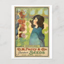 Search for gladiolas postcards Vintage