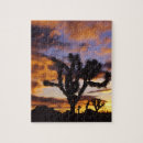 Search for joshua tree puzzles Scenic