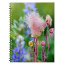 Search for chuck notebooks Close up