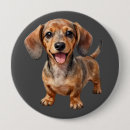 Search for dachshund badges Animal