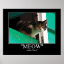 Search for housecat Kitty