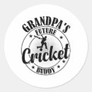 Search for stump stickers One day cricket