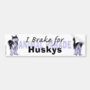 Search for huskies bumper stickers Animals