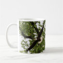 Search for eagle feathers mugs Nature