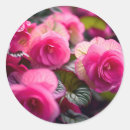 Search for begonia stickers Floral