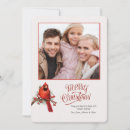 Search for photo of a cardinal Merry christmas