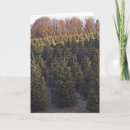 Search for north carolina christmas cards Tree