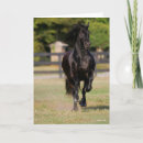 Search for horse breeding cards Black