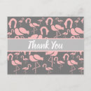 Search for flamingo postcards Cute flamingos