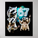 Search for funny raccoon posters Tradition