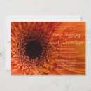 Search for macro invitations Orange
