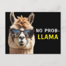Search for no prob llama Modern
