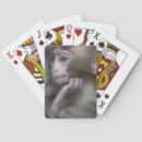 Search for monkey playing cards Close up