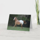 Search for appaloosa horse cards Bob langrish