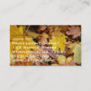 Search for autumn leaves business cards Leaf