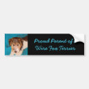 Search for fox bumper stickers Terrier