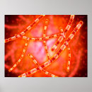 Search for pathogen posters Healthcare