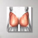 Search for humanness art Human anatomy