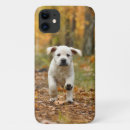 Search for black lab puppy iphone cases Funny