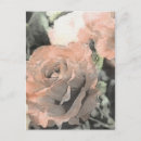 Search for pink background postcards Artistic