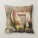 Search for tuscan cushions Italy