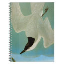 Search for bill notebooks Beak