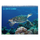 Search for turtle calendars Marine