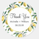 Search for citrus pattern stickers Summer