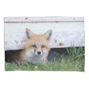 Search for fox pillowcases Animals in the wild