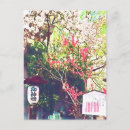 Search for japan postcards Sakura