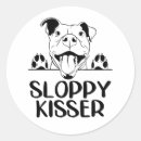 Search for pitbull dog stickers Pittie