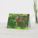 Search for fawns cards Green