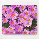 Search for daisy mouse mats Garden flowers