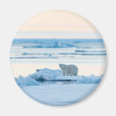 Search for iceberg magnets Snow