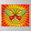 Search for psychedelic butterfly posters Insect