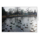 Search for flapping Waterfowl