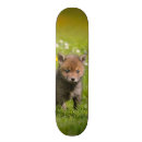 Search for portrait skateboards Cute