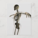 Search for rib postcards Floating ribs