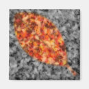 Search for shadowed magnets Fall