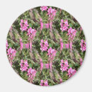 Search for trellis magnets Pink