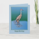 Search for sandhill cards Cranes