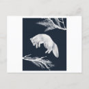 Search for arctic wolf postcards Animals