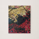 Search for maple tree Colour