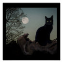Search for cat full moon posters Kitty